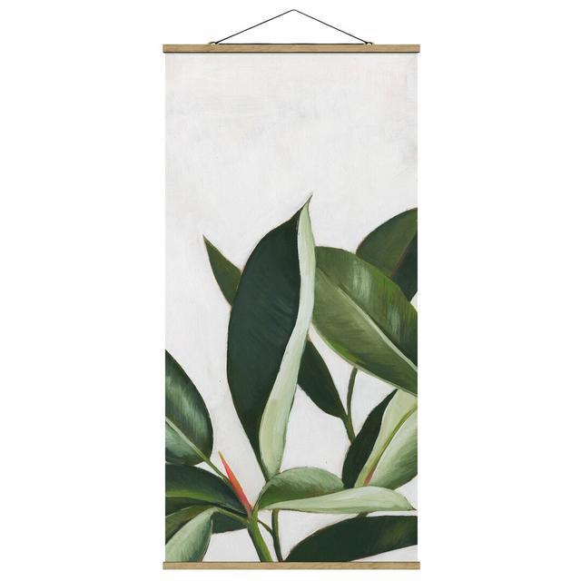 Favorite Plants - Rubber Tree - Graphic Art Print Bay Isle Home Size: 100cm H x 50cm W x 0.3cm D on Productcaster.