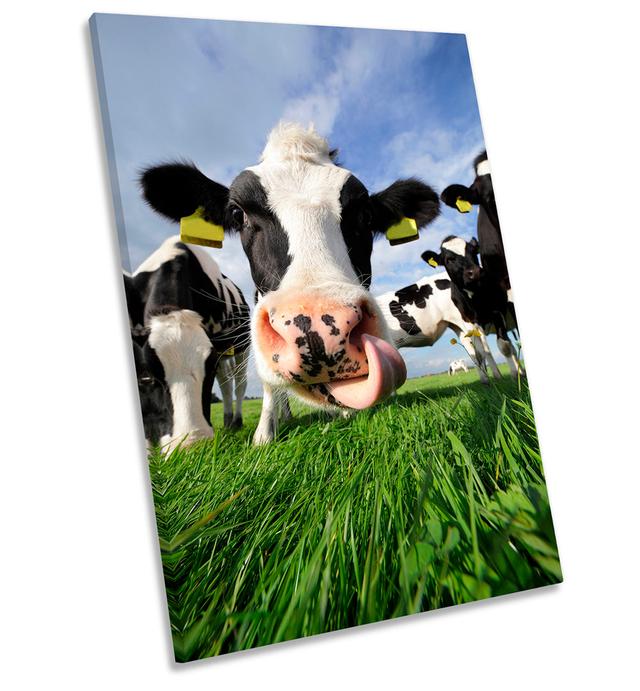 Cow Face Head Field Cattle - Wrapped Canvas Photograph Brambly Cottage Size: 91.4cm H x 61cm W x 4cm D on Productcaster.