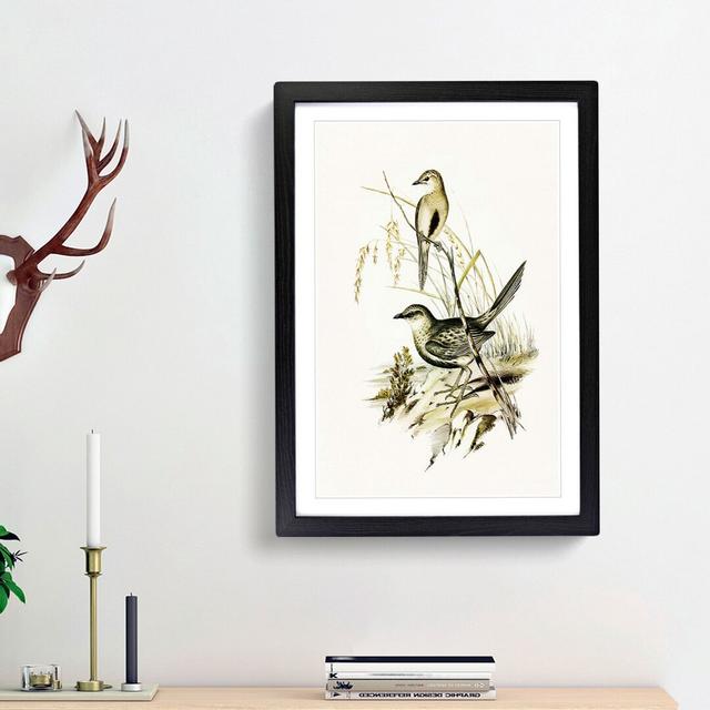 Brown Songlarks by Elizabeth Gould - Picture Frame Painting Print East Urban Home Size: 65cm H x 48cm W x 2cm D, Frame Option: Black Framed on Productcaster.