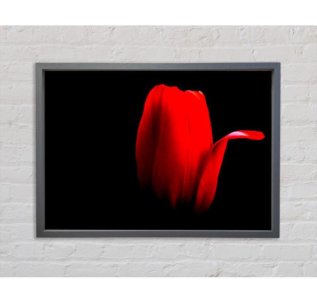 Single Picture Frame Art Prints Ebern Designs Size: 59.7cm H x 84.1cm W x 3.3cm D, Format: Dark Grey Framed Canvas on Productcaster.