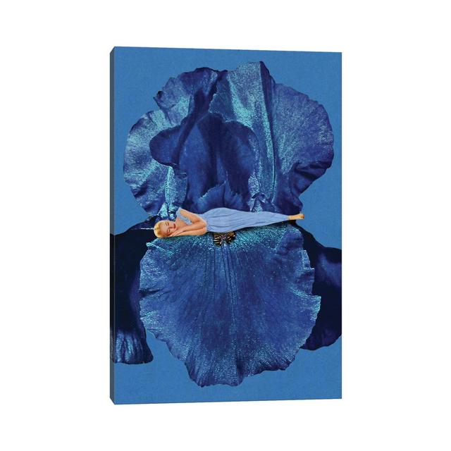 Beauty Sleep by Julia Walck - Wrapped Canvas Print Latitude Run Size: 45.72cm H x 30.48cm W x 1.91cm D on Productcaster.