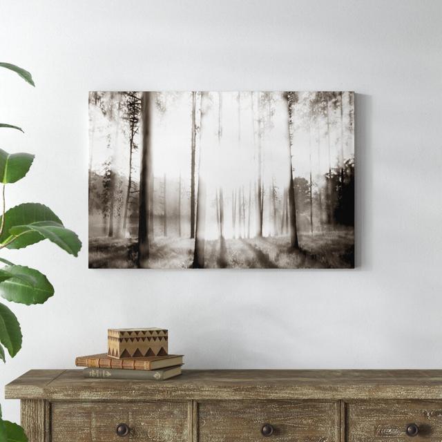 Sunrise in the Pines by James McLoughlin - Wrapped Canvas Photograph Print Blue Elephant Size: 61cm H x 91cm W on Productcaster.