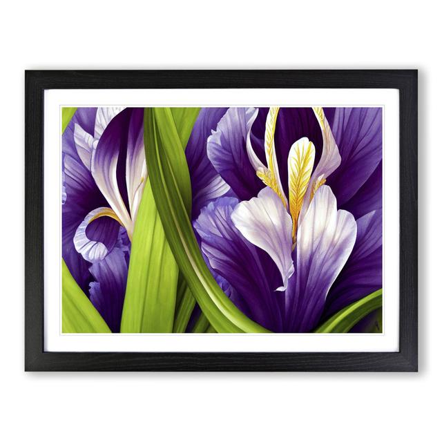 XH1022-6111X Modern Iris Flowers Vol.8 - Single Picture Frame Print Marlow Home Co. Frame Colour: Black, Size: 34cm H x 46cm W x 2cm D on Productcaster.