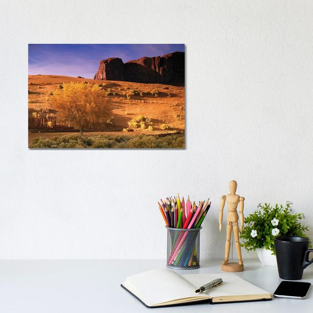 Cottonwood Tree and Coyote Bush with Sand Dunes, Monument Valley, Arizona by Tim Fitzharris - Wrapped Canvas Art Prints Union Rustic Size: 20.32cm H x on Productcaster.