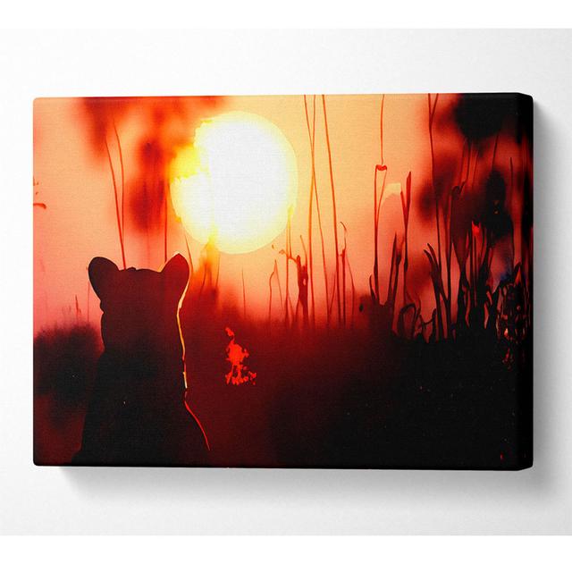 Löwenjunges beobachtet den Sonnenuntergang - Leinwanddrucke auf Leinwand 17 Stories Größe: 101,6 cm H x 142,2 cm B x 10 cm T on Productcaster.