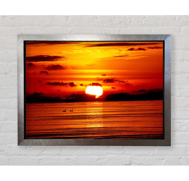 Swans On The Orange Ocean Reflection Framed Print Bright Star Size: 100cm H x 141.4cm W on Productcaster.