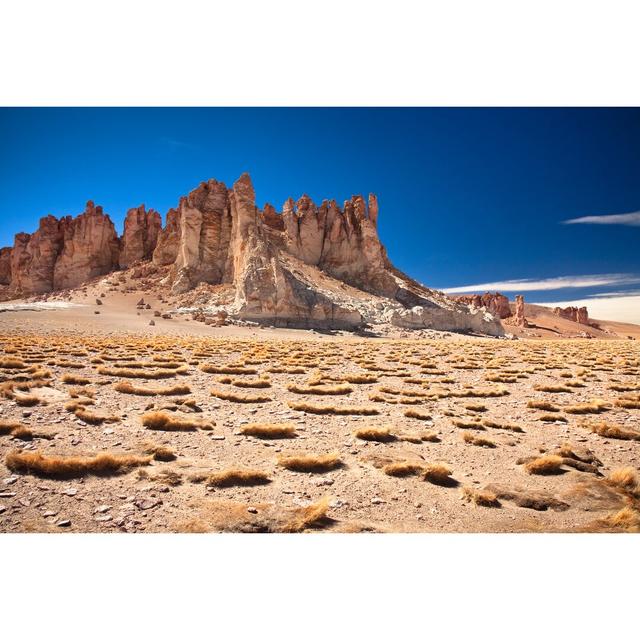 Rock Cathedrals In Salar De Tara, Chile - Wrapped Canvas Print Gracie Oaks Size: 61cm H x 91cm W x 3.8cm D on Productcaster.