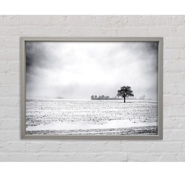 Leeres Feld Winter Gerahmter Druck Haus am Meer Format: Light Grey Framed Canvas, Größe: 84.1cm H x 118.9cm W x 3.3cm D on Productcaster.