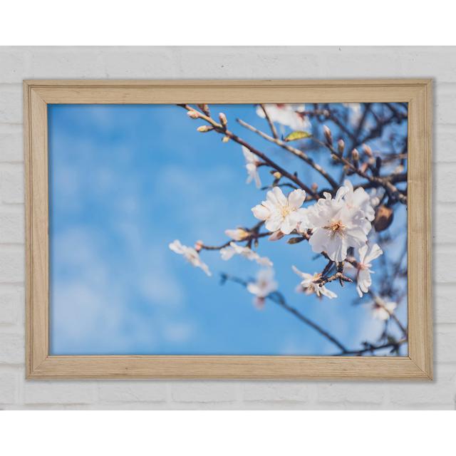 White Blossom Flowers Off A Branch - Print Ebern Designs Size: 42cm H x 59.7cm W x 1.5cm D on Productcaster.