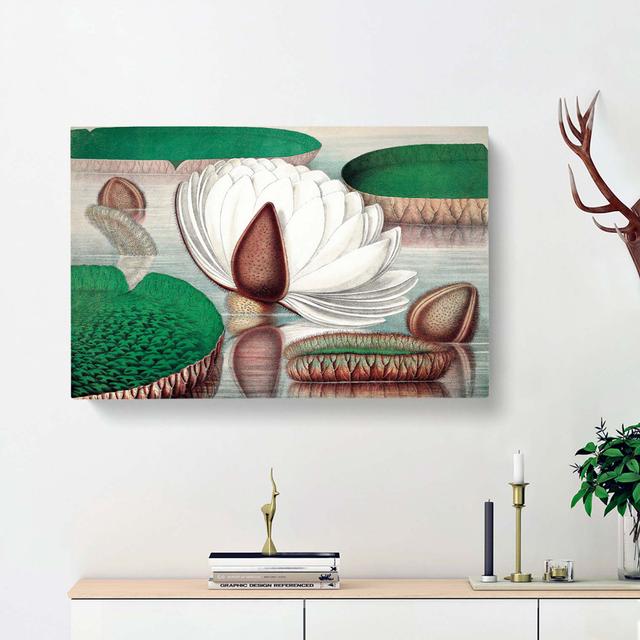 Gigantic Water Lily In Bloom by William Sharp - Wrapped Canvas Painting East Urban Home Size: 35cm H x 50cm W x 3cm D on Productcaster.