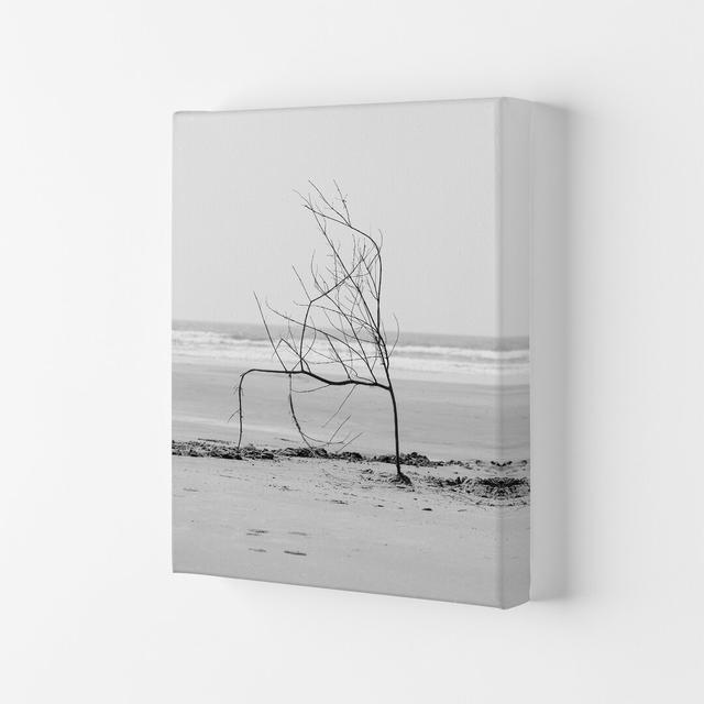 Beach Sculpture Photography Print by Victoria Frost - Photograph Print Highland Dunes Format: Wrapped Canvas, Size: 42cm H x 29.7cm W x 4cm D on Productcaster.