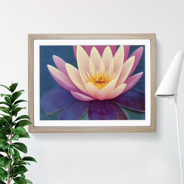 XH1022-7299X Radiant Water Lily Flower - Single Picture Frame Print Marlow Home Co. Size: 46cm H x 64cm W x 2cm D, Frame Colour: Oak Framed on Productcaster.