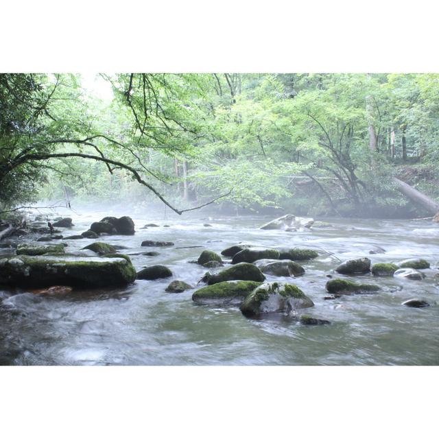 Elwell River With Mossy Rocks - Wrapped Canvas Photograph Alpen Home Size: 61cm H x 91cm W x 3.8cm D on Productcaster.