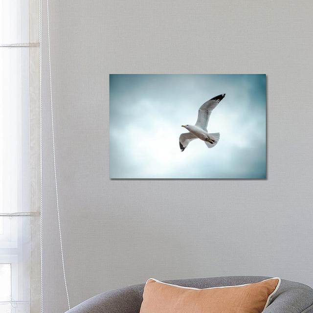 Seagull At The Take Off by Nik Rave - Wrapped Canvas Print Latitude Run Size: 45.72cm H x 66.04cm W x 1.91cm D on Productcaster.