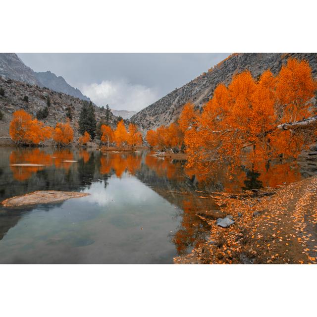 Harrisonburg Autumn On A Lake by Tahir Abbas - Wrapped Canvas Photograph Alpen Home Size: 61cm H x 91cm W x 3.8cm D on Productcaster.