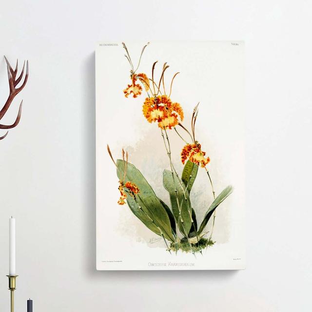 Magnolia Flowers Illustration Tab.84 by Frederick Sander - Wrapped Canvas Painting East Urban Home Size: 91cm H x 60cm W x 3cm D on Productcaster.