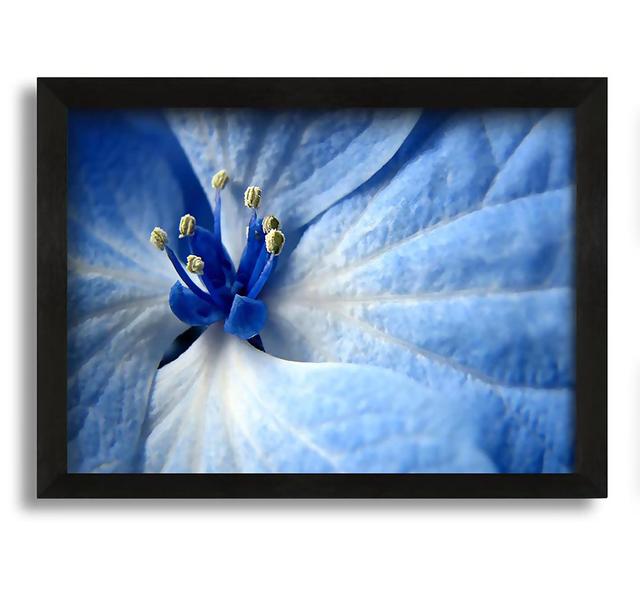 Soft Blue Flower - Picture Frame Photograph on Canvas Ophelia & Co. Size: 21cm H x 30cm W x 10cm D on Productcaster.