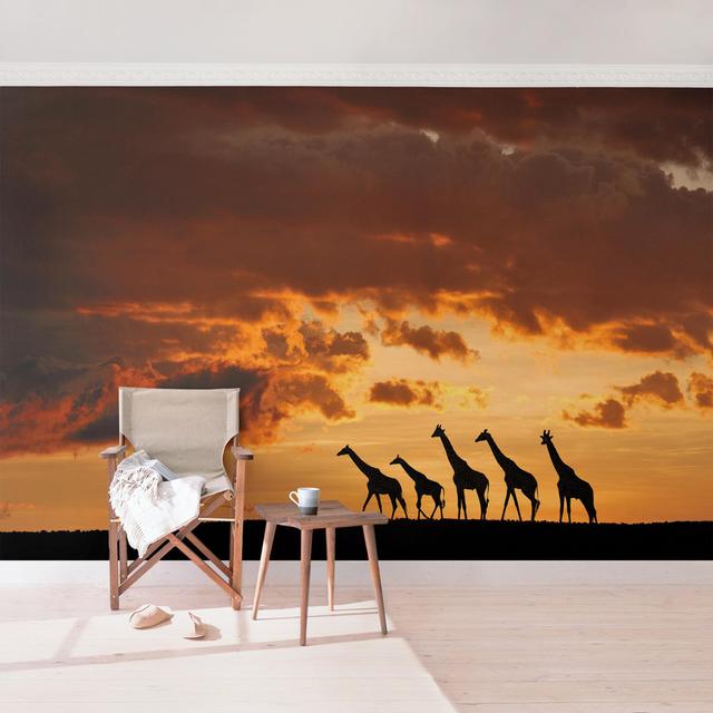 Sunset Semi-Gloss Wallpaper Roll East Urban Home Size: 4.32m x 290cm, Materialqualität: Standard (110g/m²) on Productcaster.