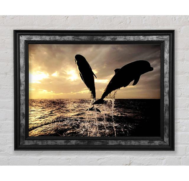 Double Dolphin Jump - Single Picture Frame Art Prints Bright Star Size: 29.7cm H x 42cm W x 8cm D on Productcaster.