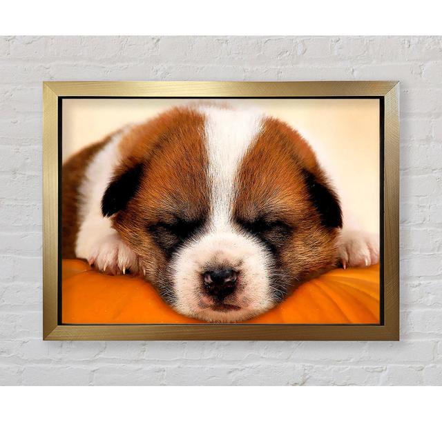 Sleeping Puppy Love - Print Bright Star Size: 42cm H x 59.7cm W x 3.4cm D on Productcaster.