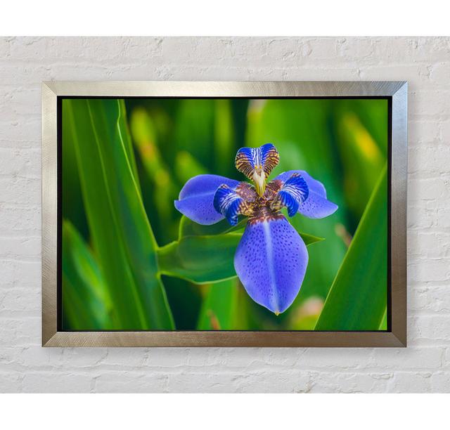 Tiny Blue Flower In Shot - Print Ebern Designs Size: 59.7cm H x 84.1cm W x 3.4cm D on Productcaster.