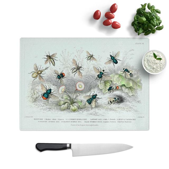 Tempered Glass Assortment of Bees Chopping Board East Urban Home Size: 39 cm W x 28.5 cm L on Productcaster.