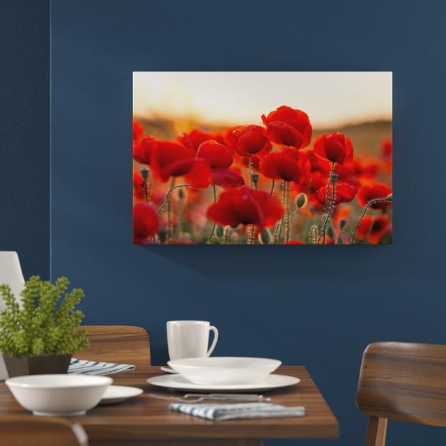 Leinwandbild Feuriger Mohn East Urban Home Größe: 60 cm H x 80 cm B on Productcaster.