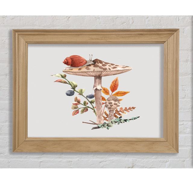 The Lone Toadstool - Single Picture Frame Art Prints Bright Star Size: 21cm H x 29.7cm W on Productcaster.