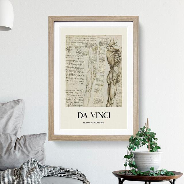 Human Anatomy Vol.6 by Leonardo Da Vinci - Picture Frame Drawing East Urban Home Frame Option: Oak Framed, Size: 48cm H x 36cm W x 2cm D on Productcaster.