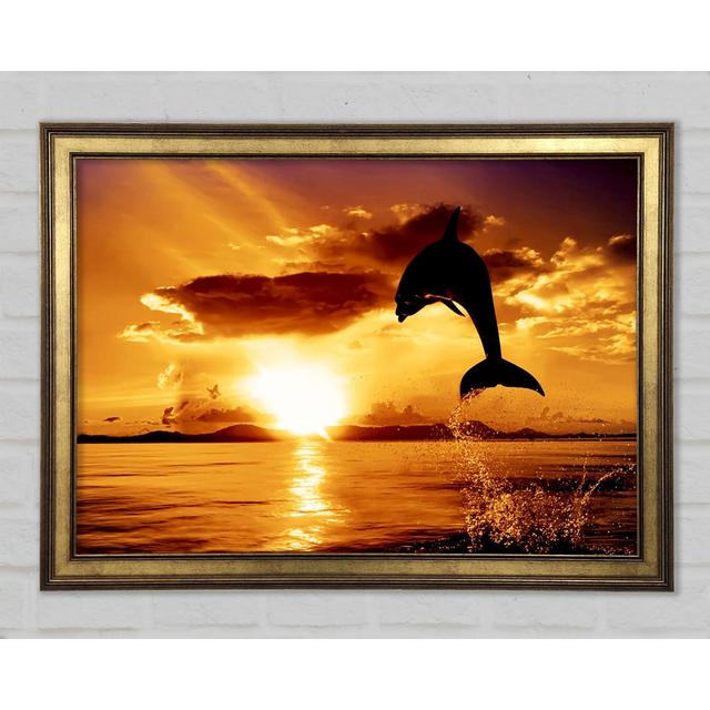 Dolphin Sunset Framed Print Highland Dunes Size: 29.1cm H x 42cm W on Productcaster.