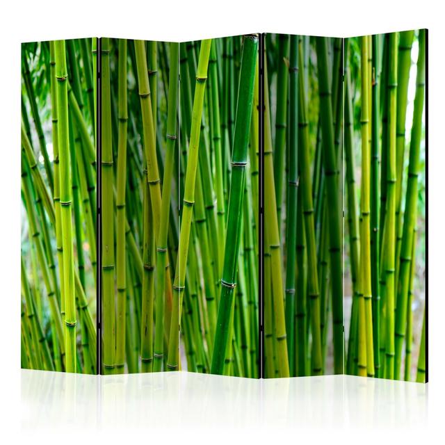 Coinde Bamboo Forest Room Divider World Menagerie Number of Panels: 5 on Productcaster.