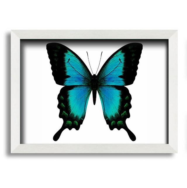 Cleasby Turquoise Butterfly Wings - Single Picture Frame Art Prints Brambly Cottage Size: 21cm H x 29.7cm W x 10cm D on Productcaster.