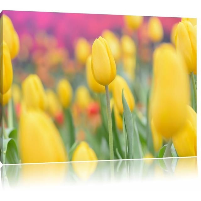 Leinwandbild „Gelbe Tulpen im Frühling“, Fotodruck East Urban Home Größe: 80 cm H x 120 cm B on Productcaster.