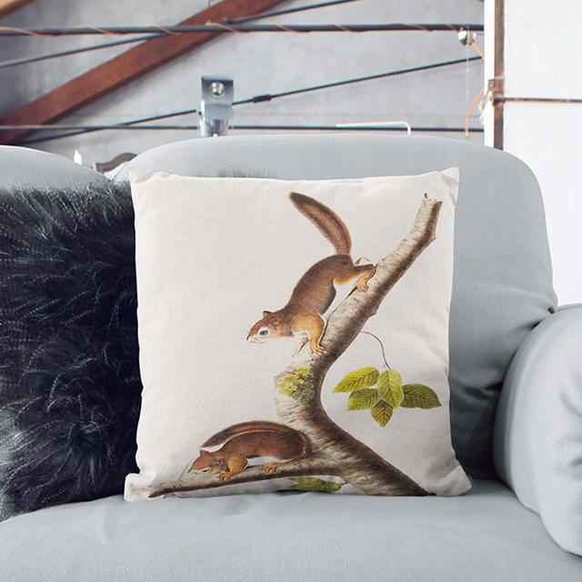 Columbian Squirrels by J.W. Audubon Cushion with Filling East Urban Home Size: 40cm H x 40cm W x 15cm D on Productcaster.