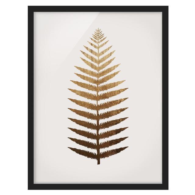 Golden Leaf - Fern - Picture Frame Graphic Art Bay Isle Home Size: 40cm H x 30cm W x 2cm D, Frame Option: Black Framed on Productcaster.