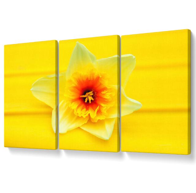 Daffodil Head - 3 Piece Wrapped Canvas Graphic Art Ebern Designs Size: 81.3cm H x 163cm W on Productcaster.