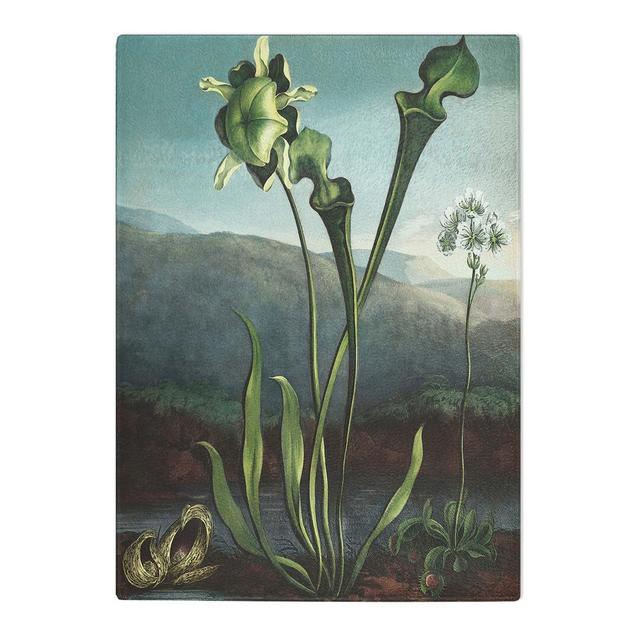 Tempered Glass Bog Plants by R.J. Thornton Chopping Board East Urban Home Size: 28.5cm W x 20cm L on Productcaster.