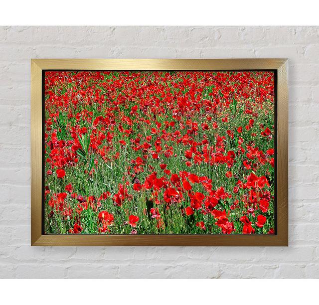 Red Poppy Field - Print Ebern Designs Size: 84.1cm H x 118.9cm W on Productcaster.