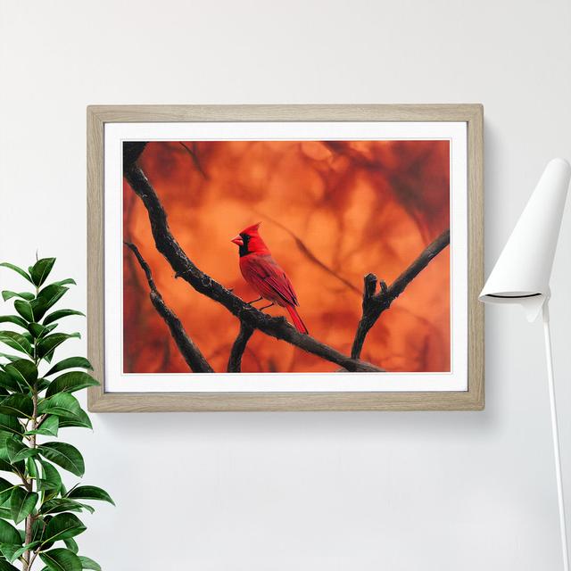 Cardinal Bird Vol.19 - Picture Frame Graphic Art The Seasonal Aisle Size: 34cm H x 46cm W x 2cm D, Frame Colour: Oak Framed on Productcaster.