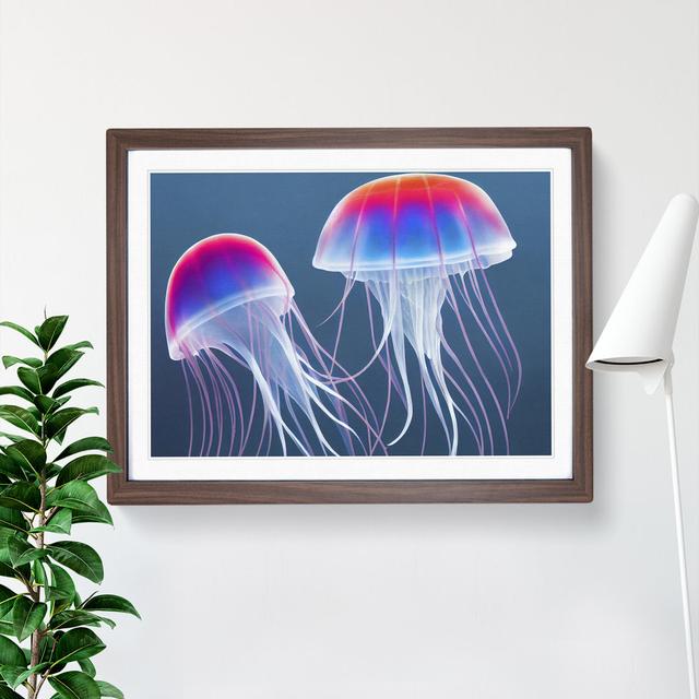 Jellyfish Vol.2 - Picture Frame Graphic Art Metro Lane Size: 25cm H x 34cm W x 2cm D, Frame Colour: Walnut Framed on Productcaster.