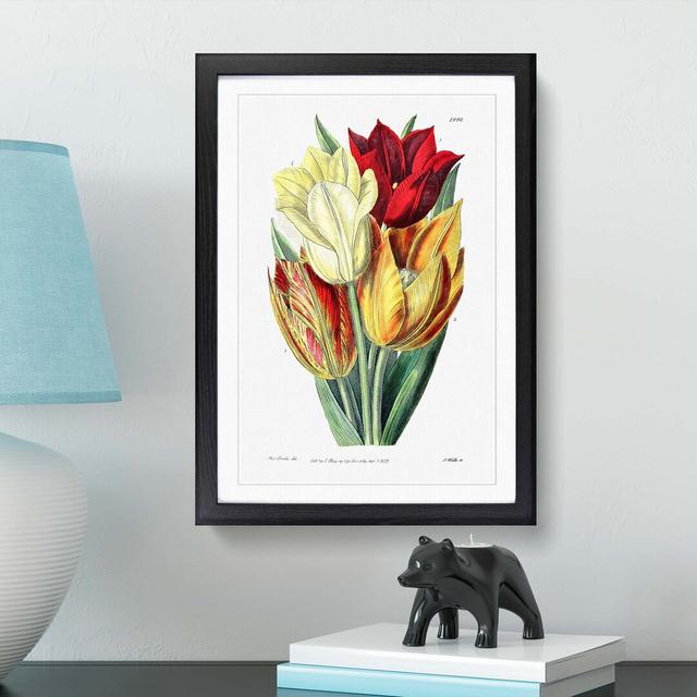 Rough-Stemmed Tulips - Picture Frame Graphic Art Print East Urban Home Frame Option: Black, Size: 50cm H x 35cm W x 2cm D on Productcaster.