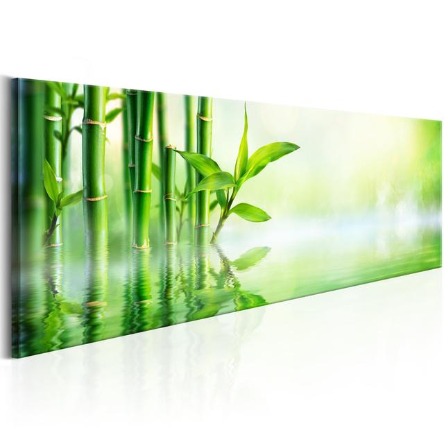 Leinwandbild - Green Bamboo Sansibar Home Größe: 50 cm H x 150 cm B on Productcaster.