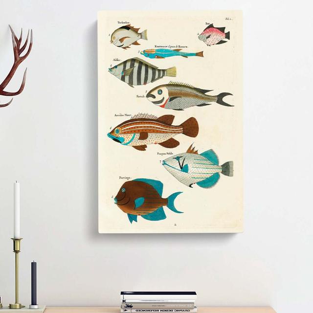 East Indies Fish Illustrations Fol. 1 by Louis Renard - Wrapped Canvas Painting East Urban Home Size: 76cm H x 50cm W x 3cm D on Productcaster.