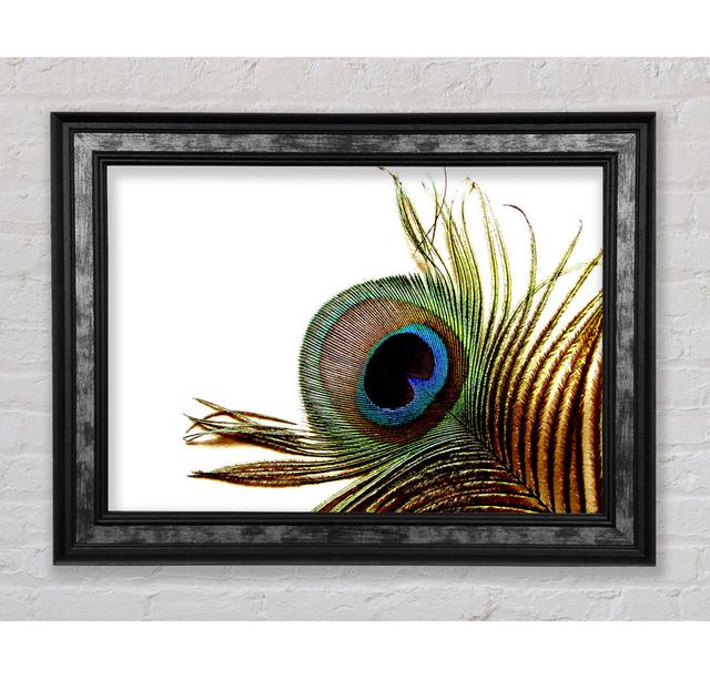 Peacock Feather Close-up - Single Picture Frame Art Prints Bright Star Size: 84.1cm H x 142.2cm W x 8cm D on Productcaster.