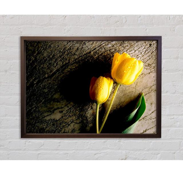 Tulip Duo - Single Picture Frame Art Prints on Canvas Bright Star Size: 59.7cm H x 84.1cm W on Productcaster.