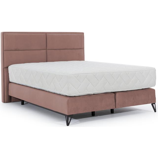 Boxspringbett Safiro Fairmont Park Farbe: Rosa, Größe: 180 x 200 cm on Productcaster.