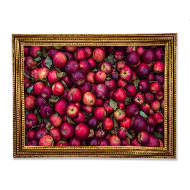 Collection Of Apples - Single Picture Frame Art Prints Ebern Designs Size: 84.1cm H x 118.9cm W x 3cm D on Productcaster.