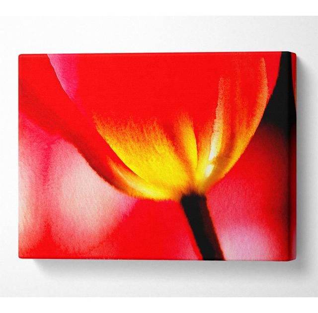 The Energy Of A Tulip - Wrapped Canvas Art Prints Latitude Run Size: 35.6cm H x 50.8cm W x 10cm D on Productcaster.