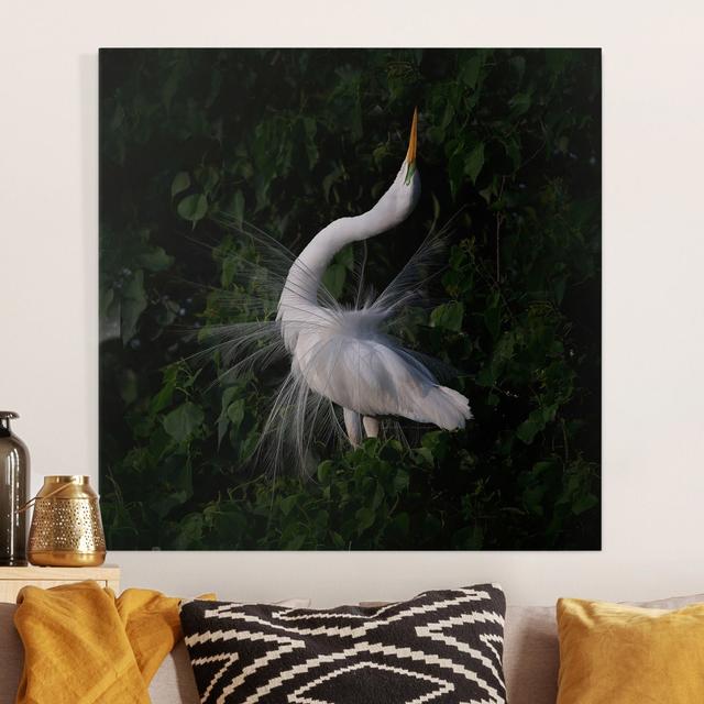 Dancing Great Egret - Wrapped Canvas Art Prints Highland Dunes Size: 70cm H x 70cm W, Format: Recycled Canvas 330g/m² on Productcaster.