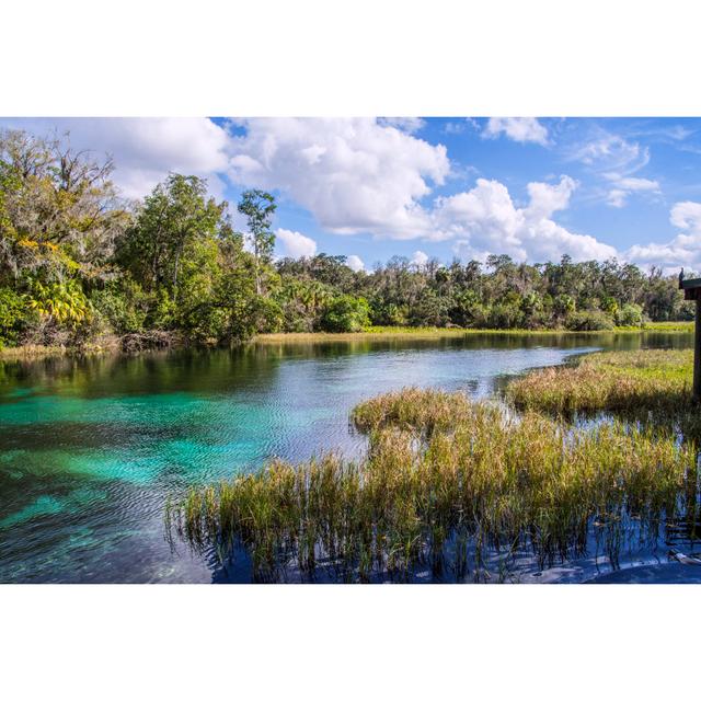 Rainbow Springs Landscape by CampPhoto - No Frame Print on Canvas Alpen Home Size: 30cm H x 46cm W on Productcaster.